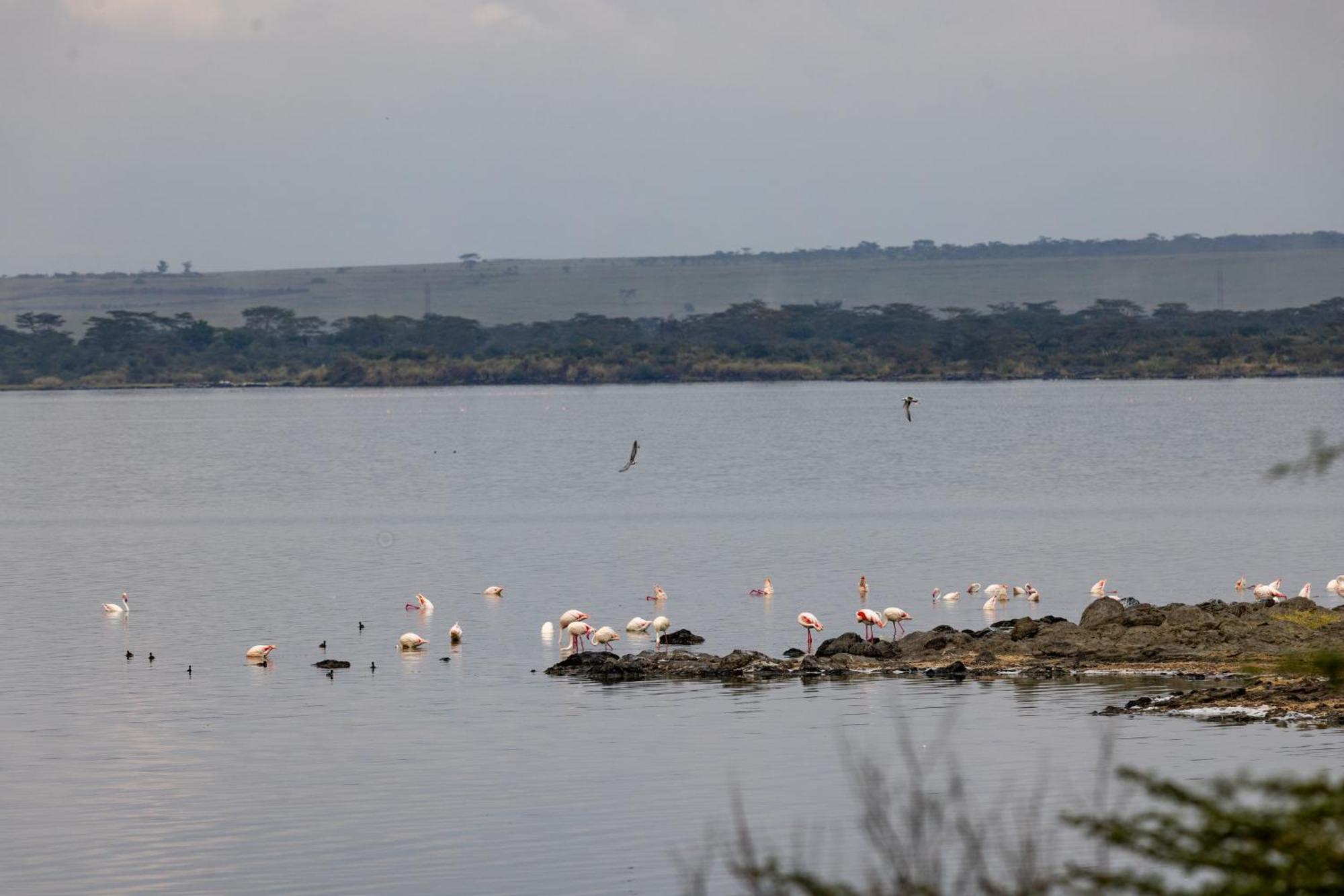 Sentrim Elementaita Lodge Elmenteita Экстерьер фото